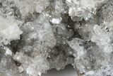 Scalenohedral Calcite Crystal Cluster - Cocineras Mine, Mexico #183751-2